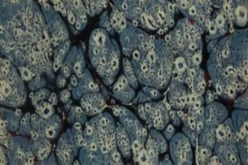 Inspiration d'œuvre d'art organique microscopique pour le jaspage de tranche de livre