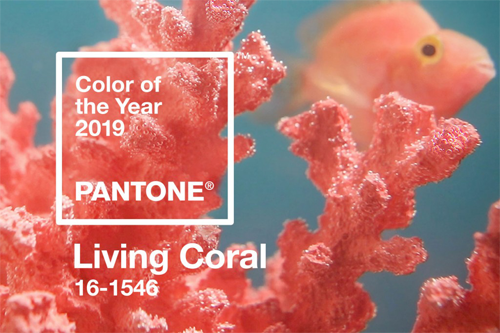 Impression d'image de coraux roses en haute résolution.