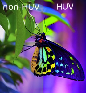 impression huv HUV (H-UV)