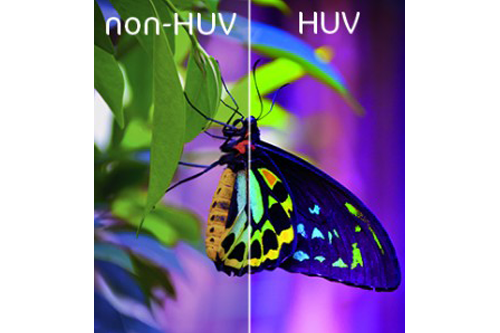 Parfaite définition d'une image de papillon grâce à l'impression VHU
