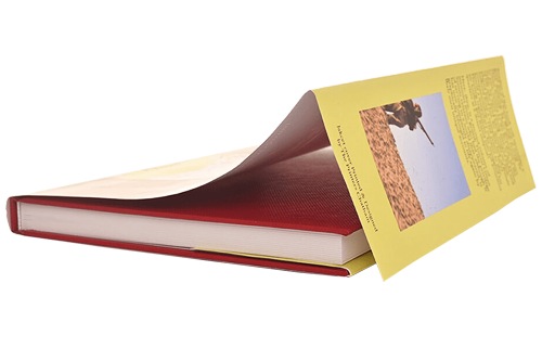 Les jaquette de livre sont des extensions de la couverture du livre.
